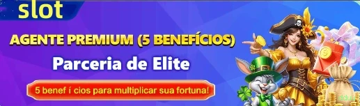 Suporte dduu